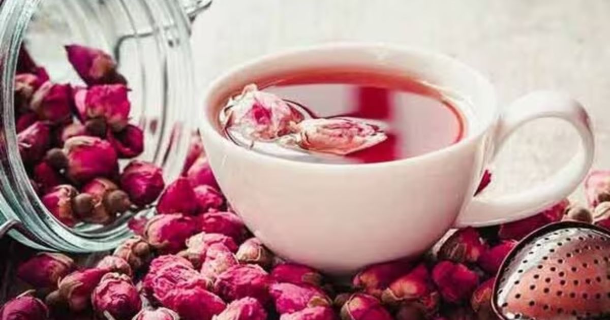 Rose Tea For Weight Loss: বাসি গোলাপের পাঁপড়ি দিয়ে বানিয়ে ফেলুন স্বাস্থ্যকর চা! সহজেই কমবে ওজন,জানুন সঠিক উপায়